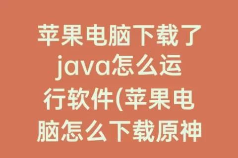 苹果电脑下载了java怎么运行软件(苹果电脑怎么下载原神)