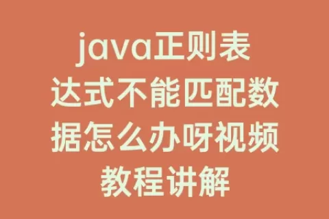 java正则表达式不能匹配数据怎么办呀视频教程讲解