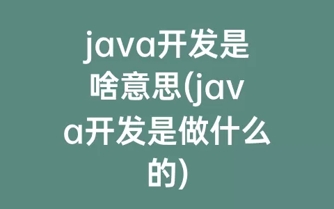 java开发是啥意思(java开发是做什么的)
