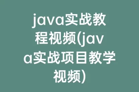 java实战教程视频(java实战项目教学视频)