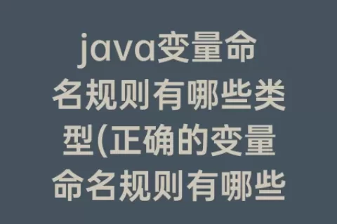 java变量命名规则有哪些类型(正确的变量命名规则有哪些)