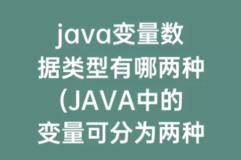 java变量数据类型有哪两种(JAVA中的变量可分为两种数据类型分别是)