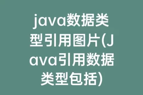 java数据类型引用图片(Java引用数据类型包括)