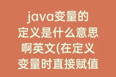 java变量的定义是什么意思啊英文(在定义变量时直接赋值是什么意思)