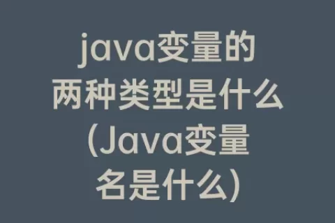 java变量的两种类型是什么(Java变量名是什么)