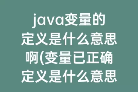 java变量的定义是什么意思啊(变量已正确定义是什么意思)