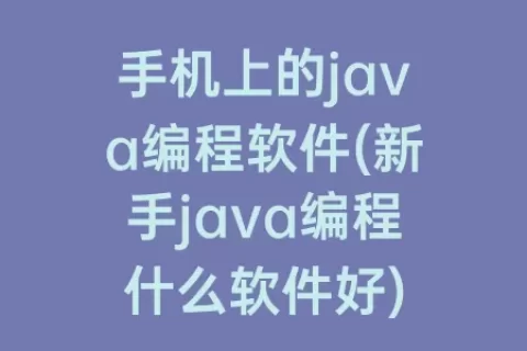 手机上的java编程软件(新手java编程什么软件好)