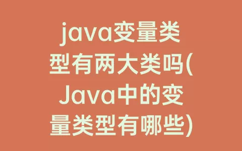 java变量类型有两大类吗(Java中的变量类型有哪些)
