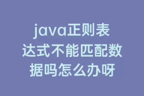 java正则表达式不能匹配数据吗怎么办呀