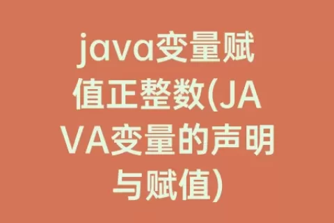 java变量赋值正整数(JAVA变量的声明与赋值)