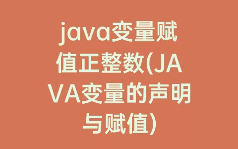 java变量赋值正整数(JAVA变量的声明与赋值)