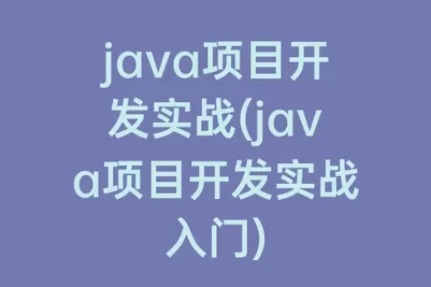 java项目开发实战(java项目开发实战入门)