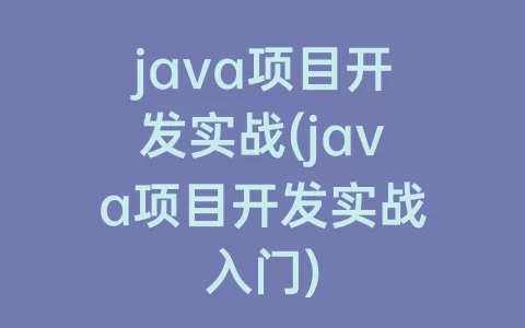 java项目开发实战(java项目开发实战入门)