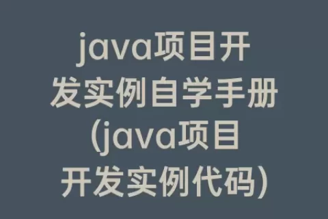 java项目开发实例自学手册(java项目开发实例代码)