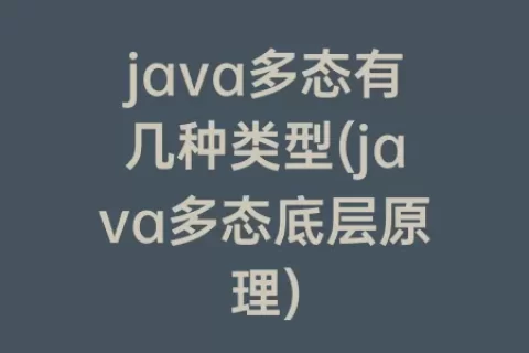 java多态有几种类型(java多态底层原理)