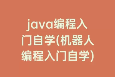 java编程入门自学(机器人编程入门自学)
