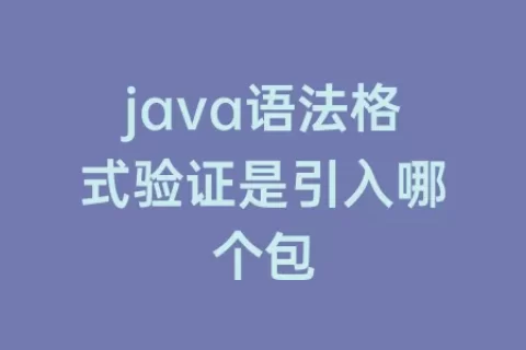 java语法格式验证是引入哪个包