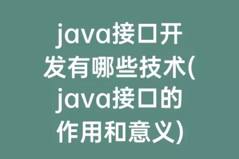 java接口开发有哪些技术(java接口的作用和意义)