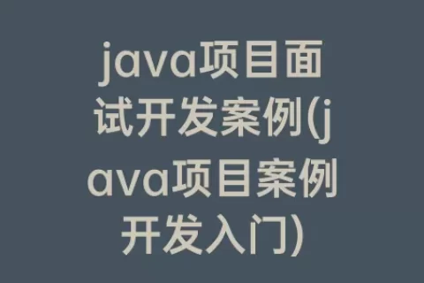 java项目面试开发案例(java项目案例开发入门)