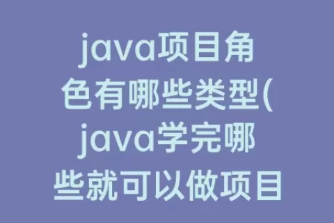 java项目角色有哪些类型(java学完哪些就可以做项目了)