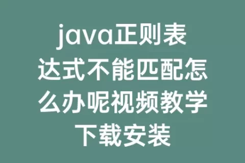 java正则表达式不能匹配怎么办呢视频教学下载安装