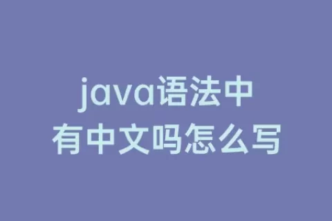 java语法中有中文吗怎么写