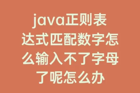java正则表达式匹配数字怎么输入不了字母了呢怎么办