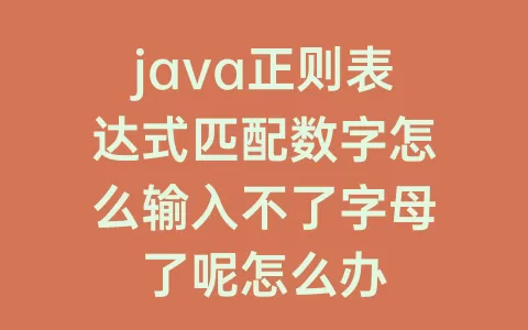 java正则表达式匹配数字怎么输入不了字母了呢怎么办