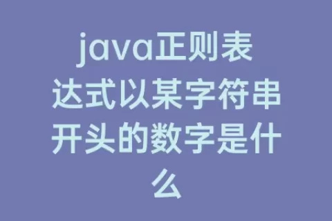 java正则表达式以某字符串开头的数字是什么