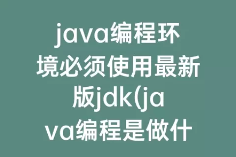 java编程环境必须使用最新版jdk(java编程是做什么的)