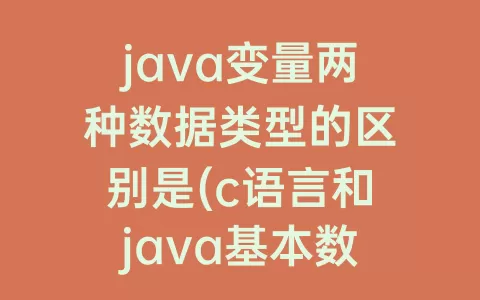 java变量两种数据类型的区别是(c语言和java基本数据类型的区别)