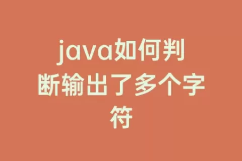 java如何判断输出了多个字符