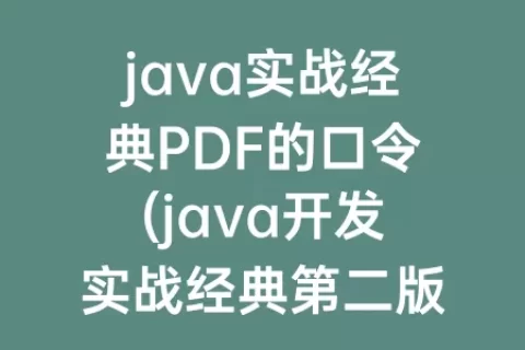 java实战经典PDF的口令(java开发实战经典第二版pdf)