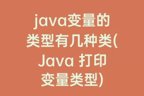 java变量的类型有几种类(Java 打印变量类型)