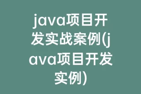 java项目开发实战案例(java项目开发实例)