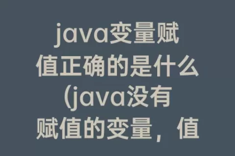 java变量赋值正确的是什么(java没有赋值的变量，值是什么)