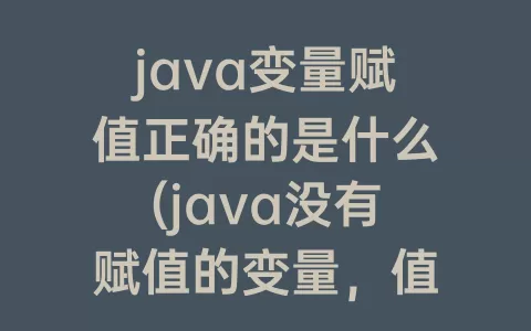 java变量赋值正确的是什么(java没有赋值的变量，值是什么)