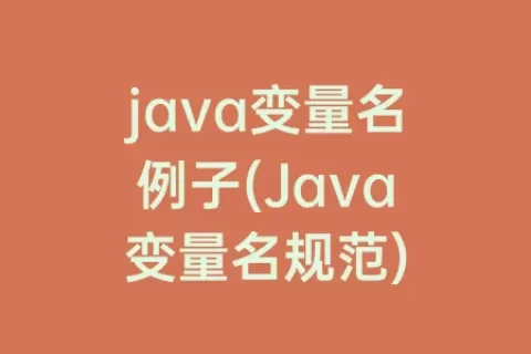java变量名例子(Java变量名规范)