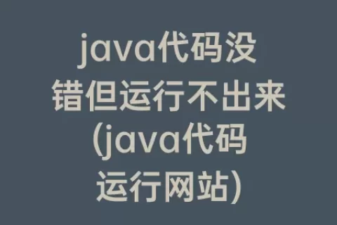 java代码没错但运行不出来(java代码运行网站)