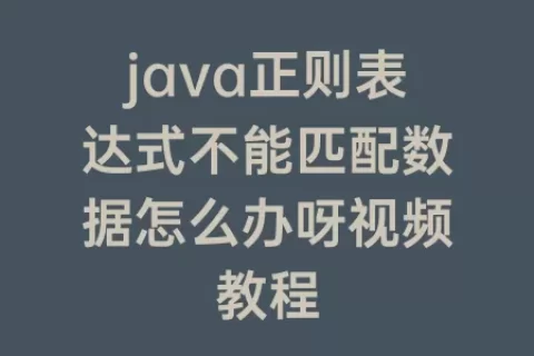 java正则表达式不能匹配数据怎么办呀视频教程