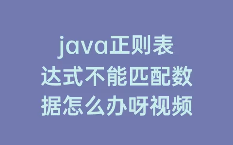 java正则表达式不能匹配数据怎么办呀视频