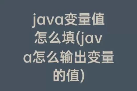 java变量值怎么填(java怎么输出变量的值)
