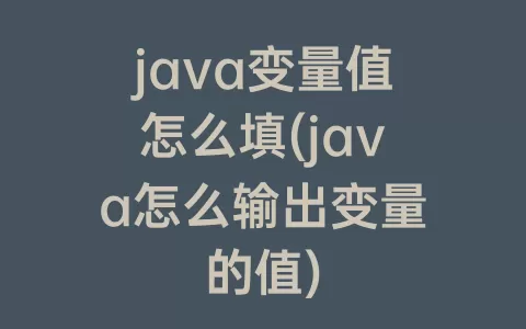 java变量值怎么填(java怎么输出变量的值)