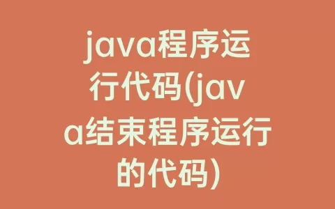 java程序运行代码(java结束程序运行的代码)