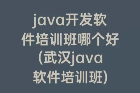 java开发软件培训班哪个好(武汉java软件培训班)