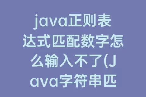 java正则表达式匹配数字怎么输入不了(Java字符串匹配正则表达式)