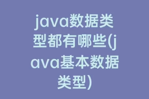 java数据类型都有哪些(java基本数据类型)