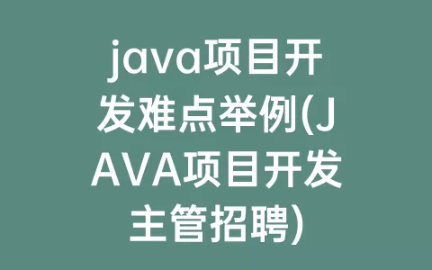 java项目开发难点举例(JAVA项目开发主管招聘)
