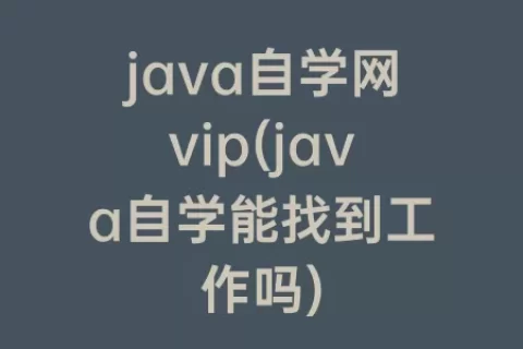 java自学网vip(java自学能找到工作吗)