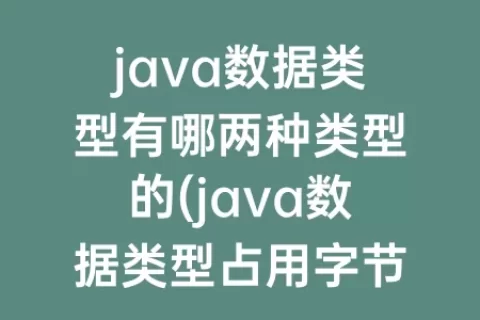java数据类型有哪两种类型的(java数据类型占用字节数)